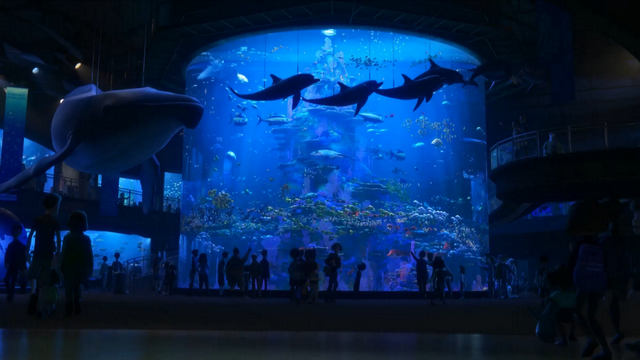 File:Finding Dory 27.png