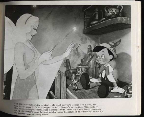 File:36844145.jpg