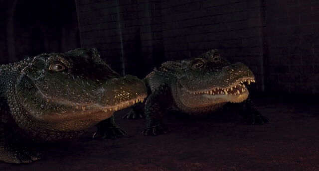 File:The-wild-disneyscreencaps.com-3475.jpg