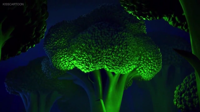 File:Broccoli forest.png