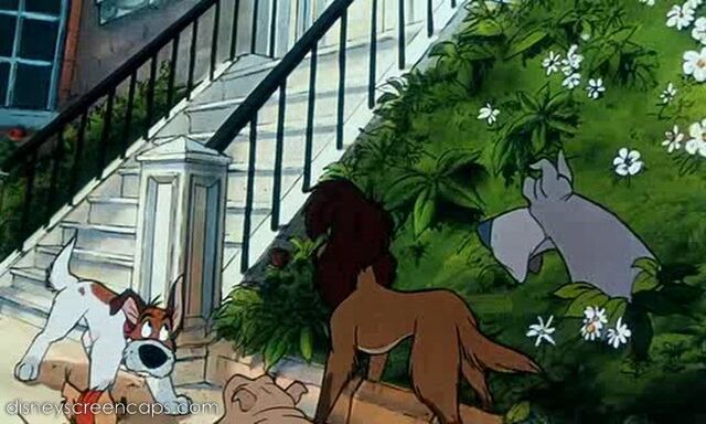 File:Oliver-disneyscreencaps.com-4739.jpg