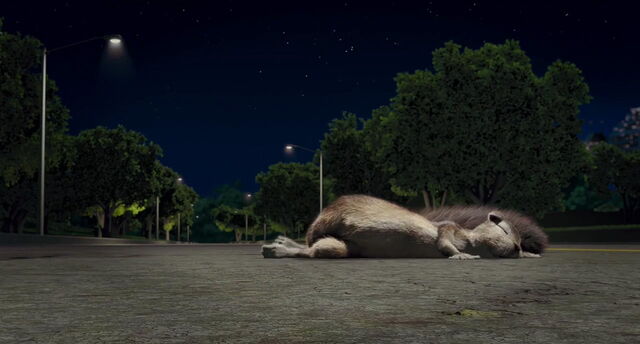 File:The-wild-disneyscreencaps com-2662.jpg