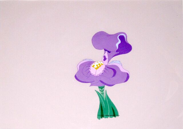 File:Iris cel blog.jpg
