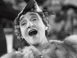 Florence Gill