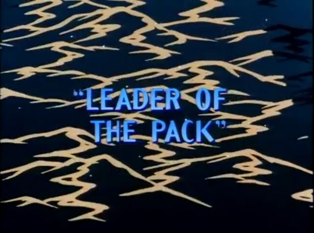 File:Leader pack.jpg