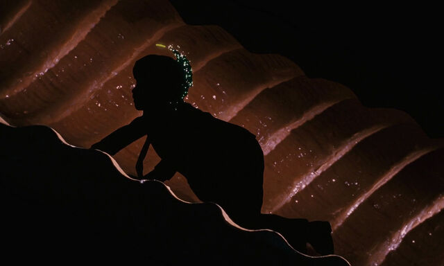File:James-giant-peach-disneyscreencaps com-2240.jpg