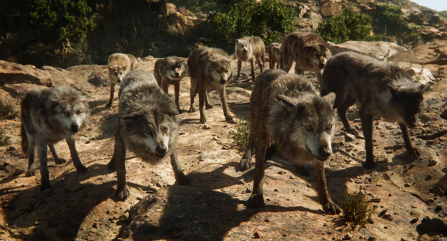 File:Jungle Book 2016 29.png