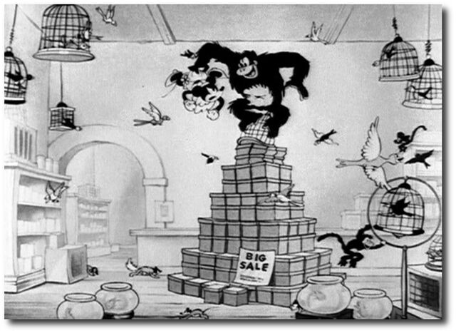 File:19511.jpg