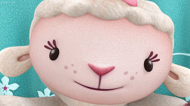 File:Close up of lambie.jpg