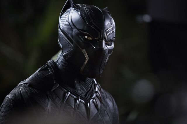 File:Black Panther photography 1.jpg