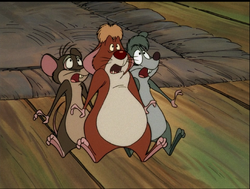 PackRats2