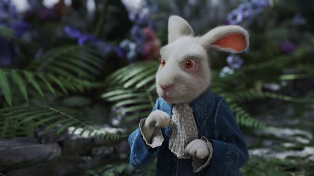 File:WhiteRabbit2010.jpg