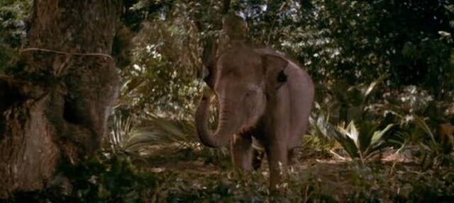 File:Swiss-family-robinson-disneyscreencaps.com-3256.jpg
