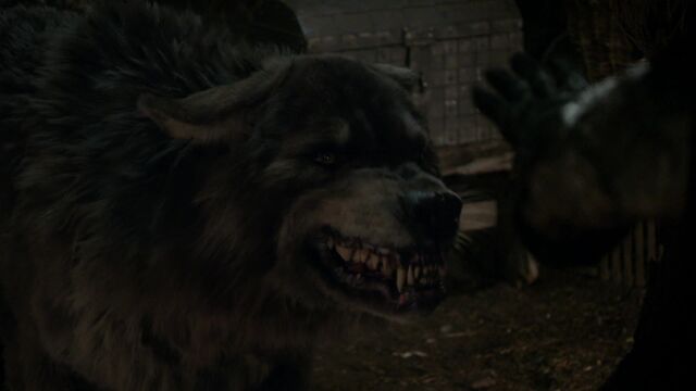 File:Wolf The Bear King.jpg