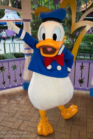 File:Donald HKDL.jpg