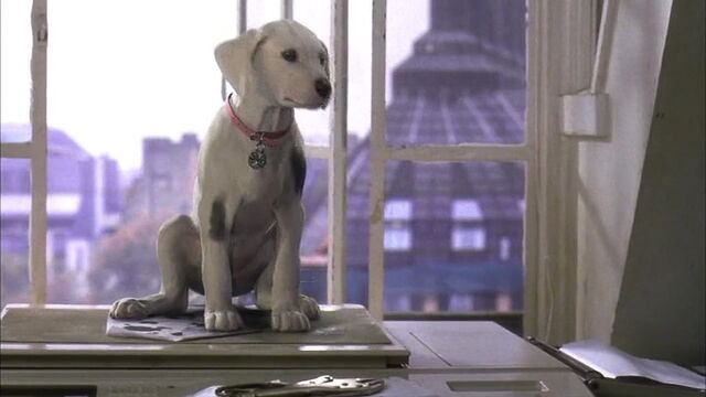 File:102-dalmatians-disneyscreencaps.com-2855.jpg