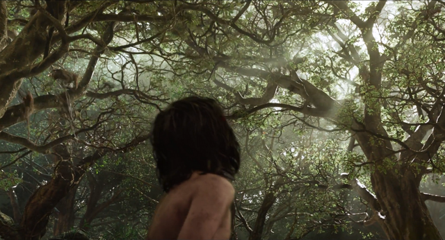 File:Jungle Book 2016 57.png
