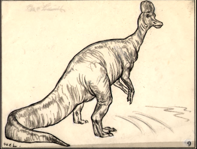 File:Corytho-sketch.png
