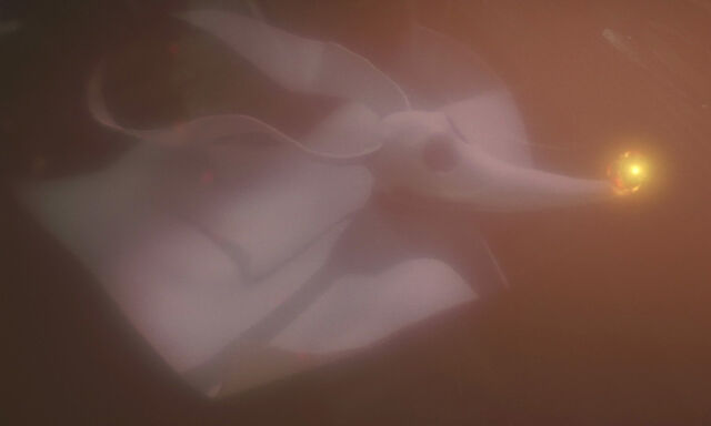 File:Nightmare-christmas-disneyscreencaps.com-6197.jpg