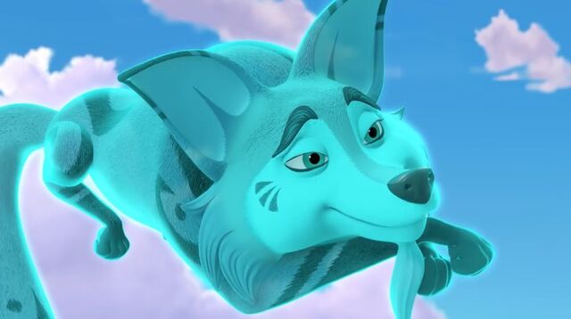File:Relaxed Zuzo.jpeg