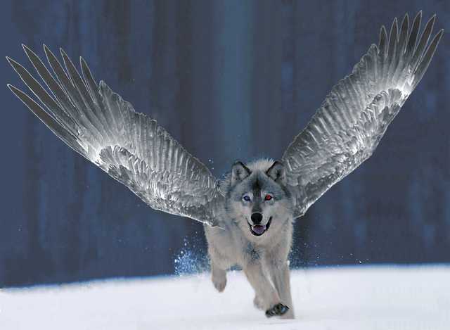 File:Silverflight avatar.png