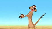 Timon-(The Lion King).jpg