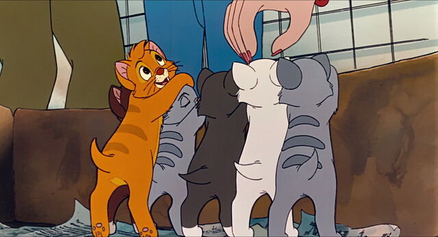 File:Oliver-disneyscreencaps.com-80.jpg