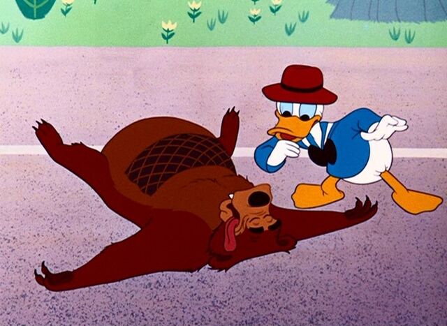 File:Grin and bear it 12.jpg
