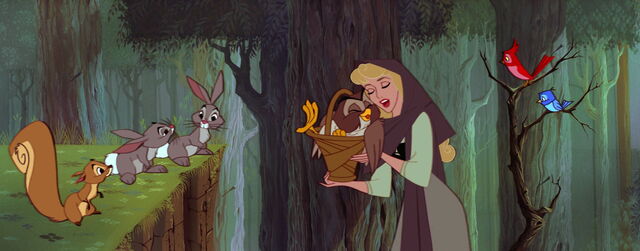File:Sleeping-beauty-disneyscreencaps.com-2603.jpg