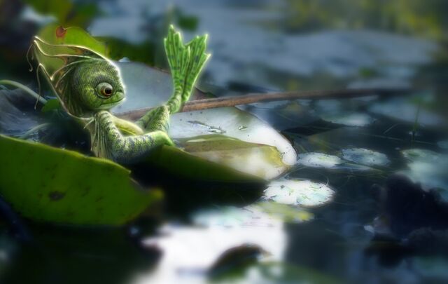 File:Lily 1 copy.jpg