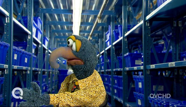 File:Qvc gonzo stockroom.jpg