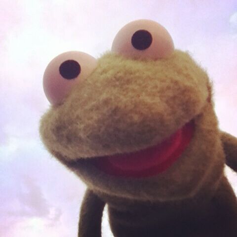 File:Instagram Robin.jpg