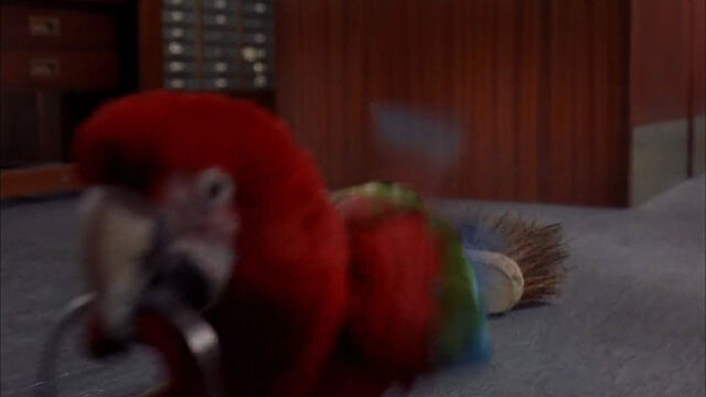 File:102-dalmatians-disneyscreencaps com-7557.jpg
