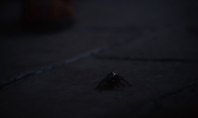 File:James-giant-peach-disneyscreencaps.com-1155.jpg