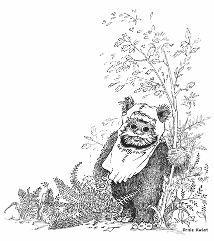 File:Ewok.gif