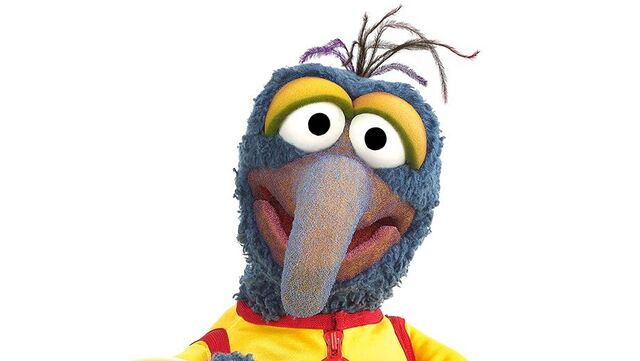 File:Gonzo nascar.jpg