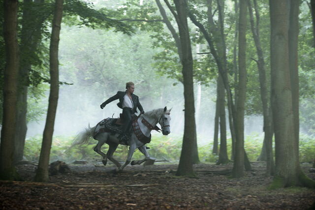 File:Itw-prince-1.jpg