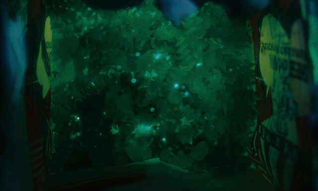 File:James-giant-peach-disneyscreencaps com-1267.jpg