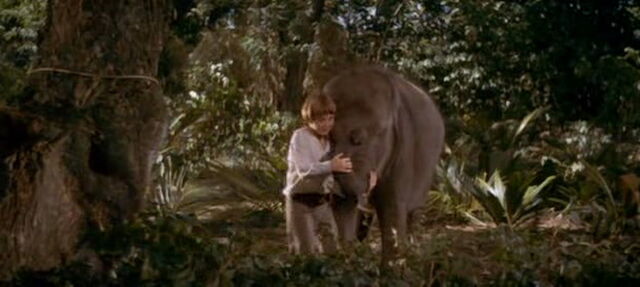 File:Swiss-family-robinson-disneyscreencaps.com-3281.jpg