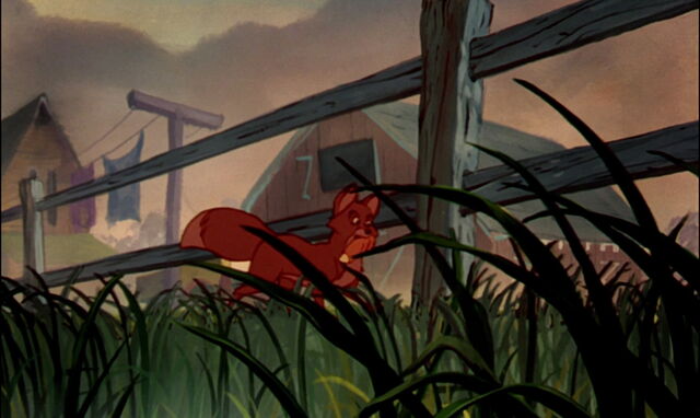 File:Fox-and-the-hound-disneyscreencaps.com-158.jpg