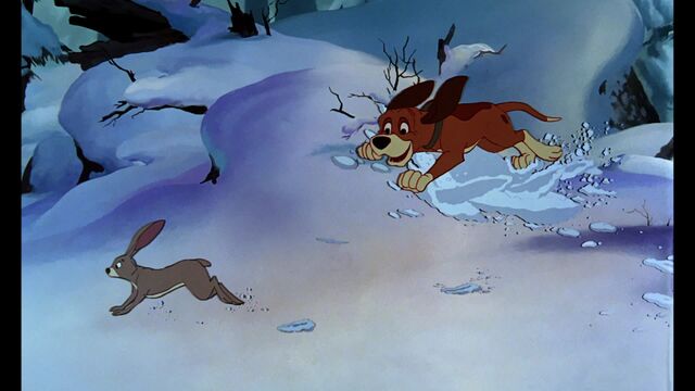 File:Copper Chasing a Rabbit.jpg