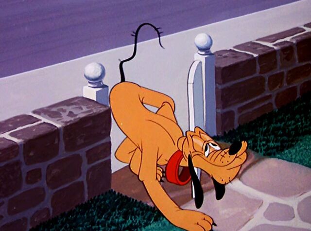 File:Tumblr npwndmp3Xh1qhcrb0o1 1280.jpg
