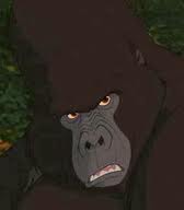 Kerchak Close Up