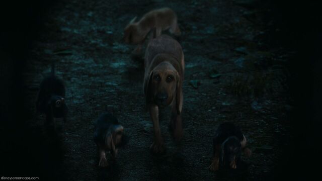 File:Alice-disneyscreencaps com-8978.jpg
