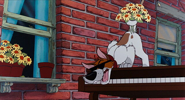 File:Dodger on a piano in Why Should I Worry.jpg