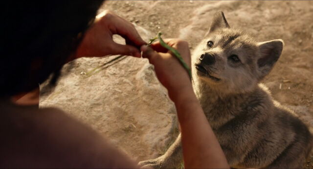 File:Jungle-book-2016-disneyscreencaps.com-422.jpg