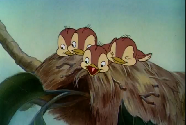 File:Babybirds.png