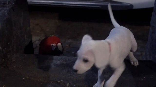 File:102-dalmatians-disneyscreencaps com-8667.jpg