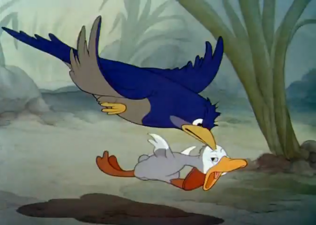 File:Udpecked.png