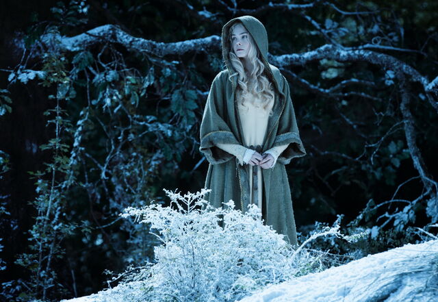 File:Maleficent-(2014)-174.jpg
